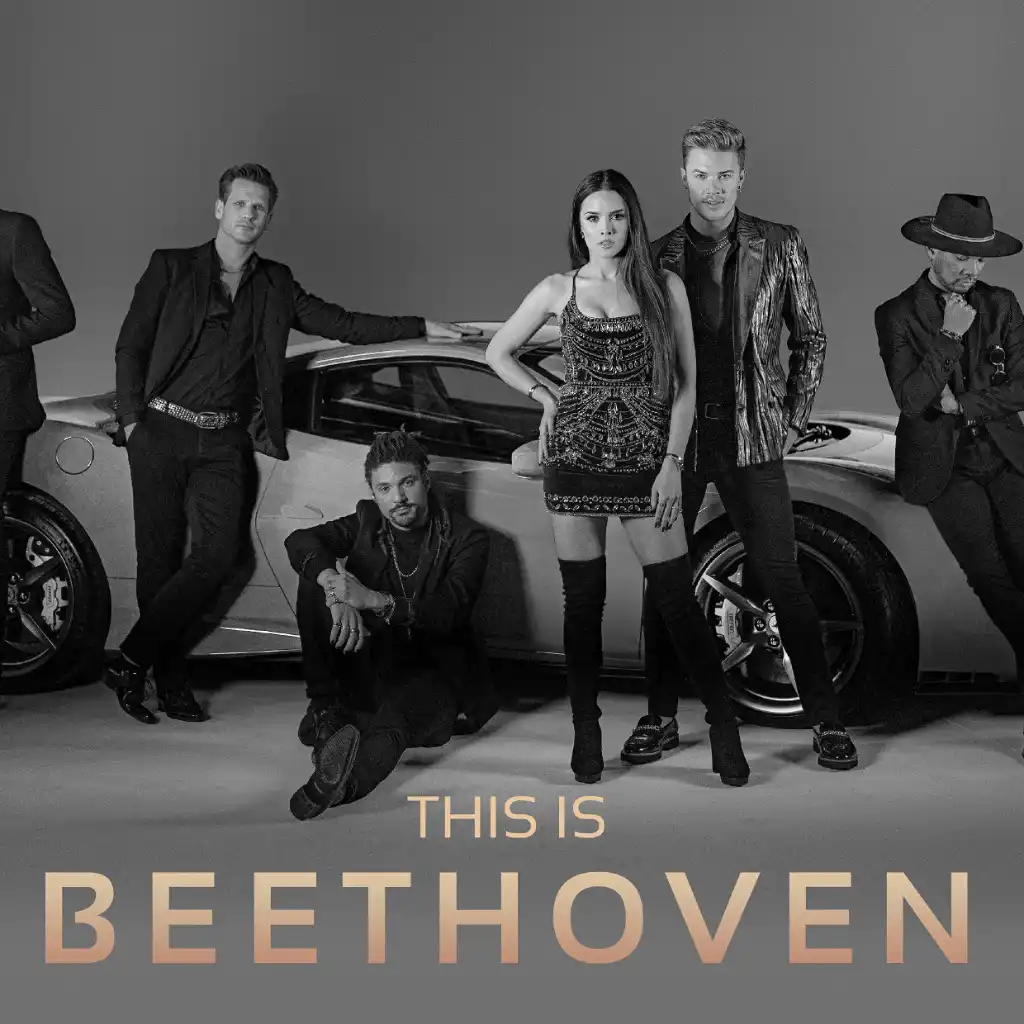 This is Beethoven voor de laagste prijs inhuren bij Artist Capitol